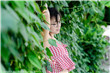 四大才女